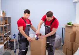 movers professionals