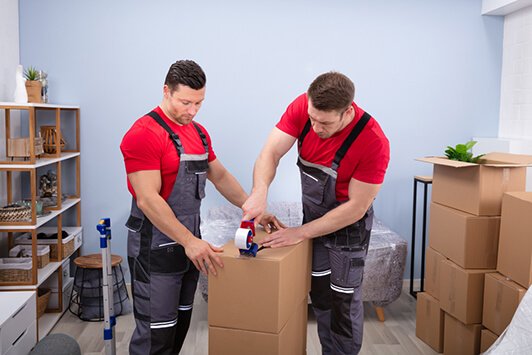 movers professionals