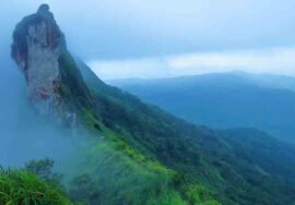 kottayam town