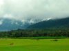 palakkad towns