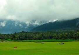 palakkad towns