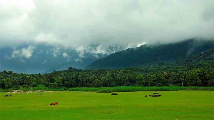palakkad towns