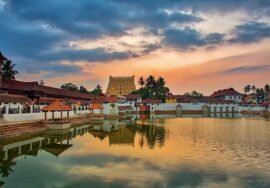 trivandrum Packers